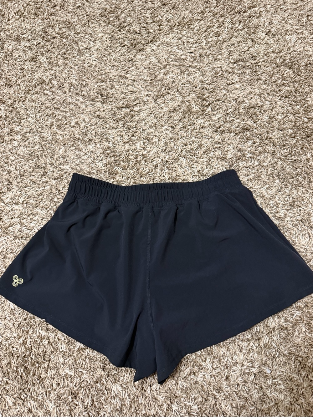 Aritzia Shorts
